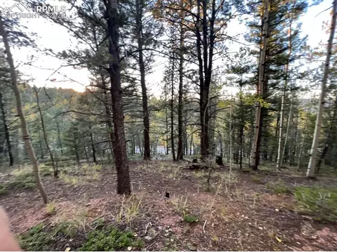 657 Calcite Dr, Divide, CO 80814 photo 13