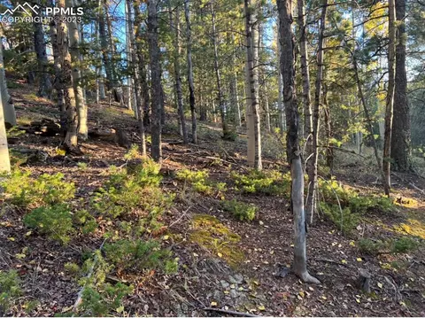 657 Calcite Dr, Divide, CO 80814 photo 2