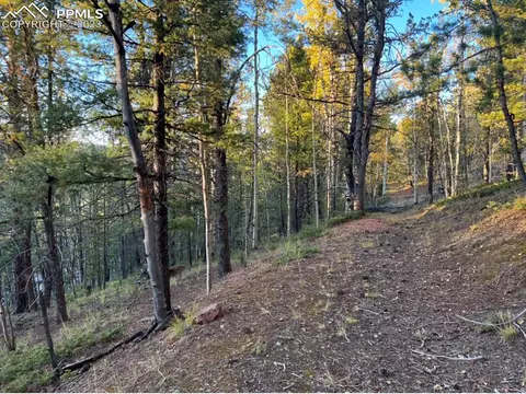 657 Calcite Dr, Divide, CO 80814 photo 25