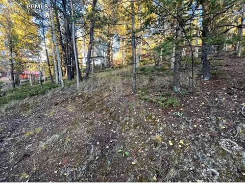 657 Calcite Dr, Divide, CO 80814 photo 12