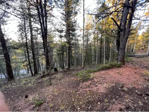 657 Calcite Dr, Divide, CO 80814 photo 14