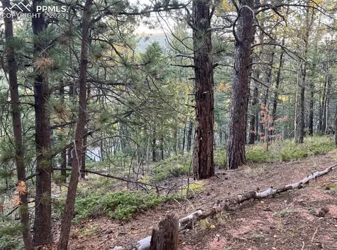 657 Calcite Dr, Divide, CO 80814 photo 16