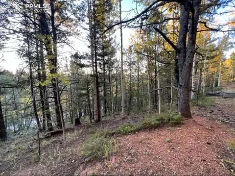 657 Calcite Dr, Divide, CO 80814 photo 8
