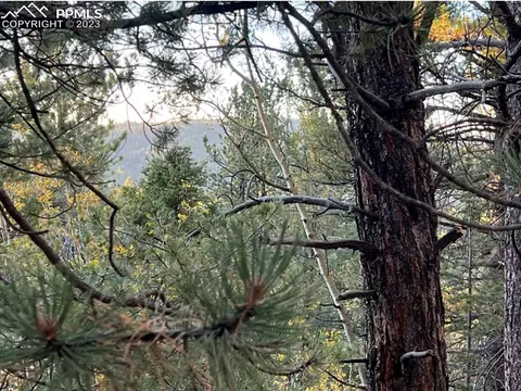 657 Calcite Dr, Divide, CO 80814 photo 32