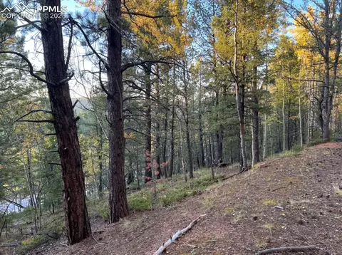 657 Calcite Dr, Divide, CO 80814 photo 11