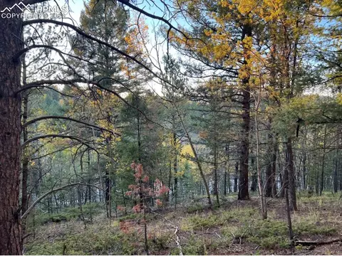 657 Calcite Dr, Divide, CO 80814 photo 26