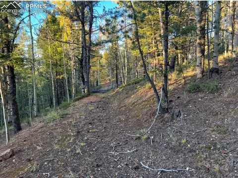 657 Calcite Dr, Divide, CO 80814 photo 33