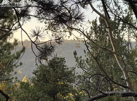 657 Calcite Dr, Divide, CO 80814 photo 35