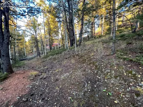 657 Calcite Dr, Divide, CO 80814 photo 9