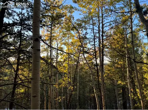 657 Calcite Dr, Divide, CO 80814 photo 3