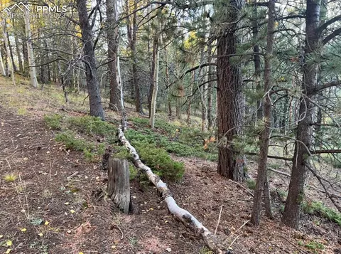657 Calcite Dr, Divide, CO 80814 photo 29