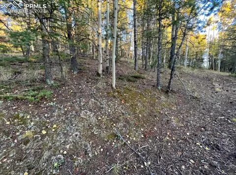 657 Calcite Dr, Divide, CO 80814 photo 10