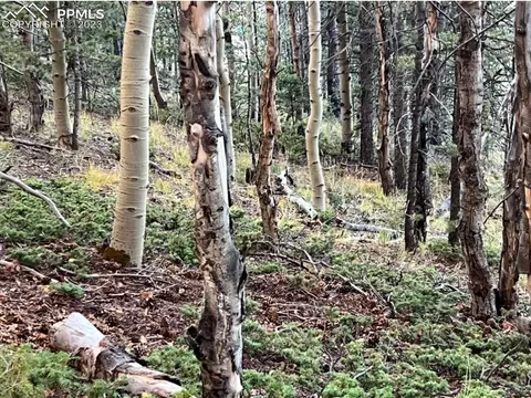 657 Calcite Dr, Divide, CO 80814 photo 37