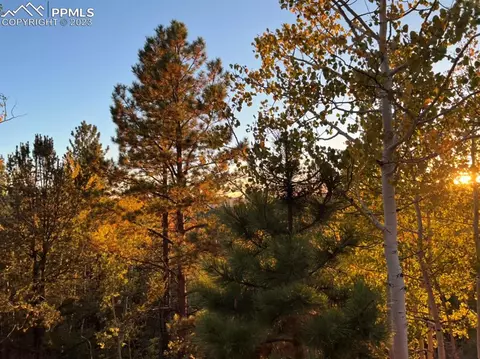 657 Calcite Dr, Divide, CO 80814 photo 7