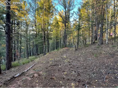 657 Calcite Dr, Divide, CO 80814 photo 15