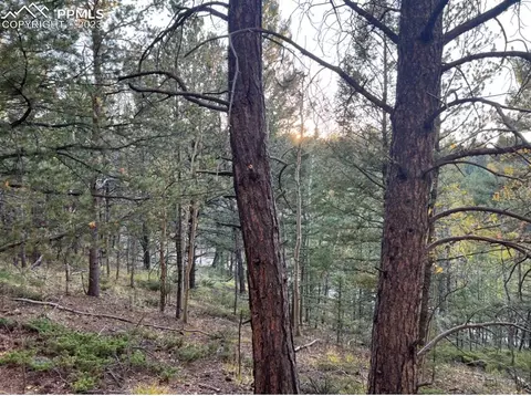 657 Calcite Dr, Divide, CO 80814 photo 27