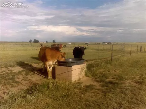 34255 Antioch Rd, Yoder, CO 80864 photo 28