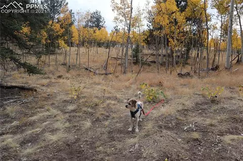 92 Old Squaw Rd, Como, CO 80432 photo 13
