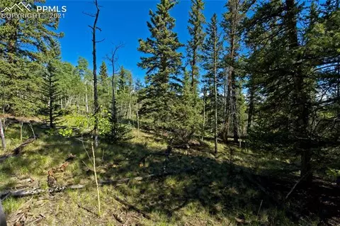 92 Old Squaw Rd, Como, CO 80432 photo 33