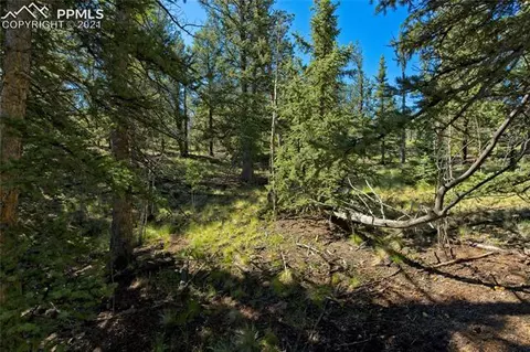 92 Old Squaw Rd, Como, CO 80432 photo 9