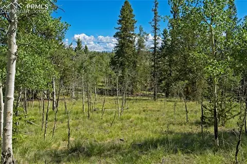 92 Old Squaw Rd, Como, CO 80432 photo 12