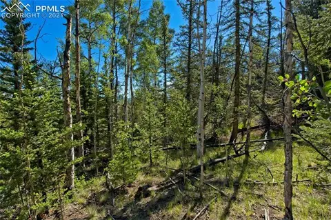 92 Old Squaw Rd, Como, CO 80432 photo 31