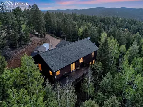 117 Fluorite Ln, Divide, CO 80814 photo 5