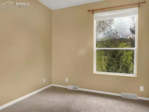 117 Fluorite Ln, Divide, CO 80814 photo 22