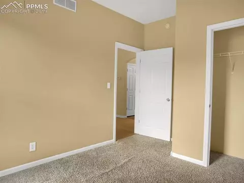 117 Fluorite Ln, Divide, CO 80814 photo 21