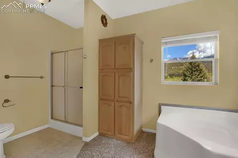 117 Fluorite Ln, Divide, CO 80814 photo 10