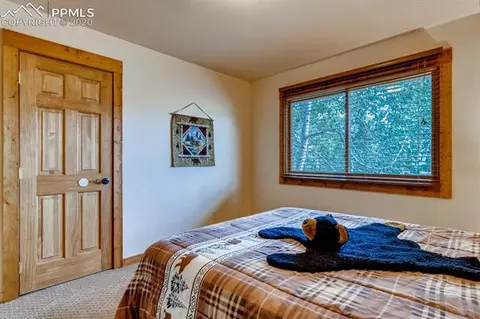654 Will Scarlet Dr, Divide, CO 80814 photo 17
