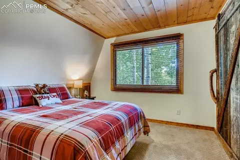 654 Will Scarlet Dr, Divide, CO 80814 photo 18