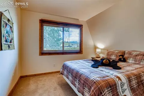 654 Will Scarlet Dr, Divide, CO 80814 photo 16
