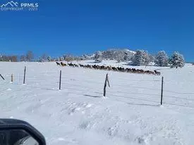 2947 County Road 86, Victor, CO 80860