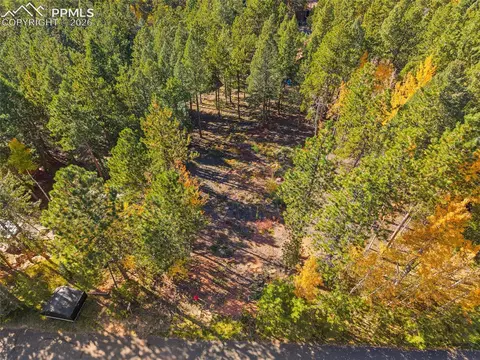 1320 Forest Edge Rd, Woodland Park, CO 80863