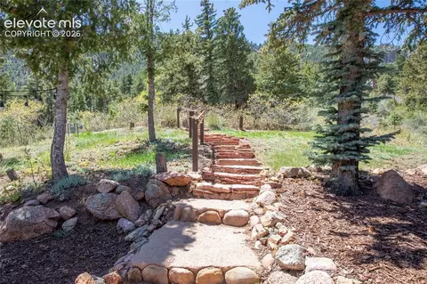 9850 Mohawk Trl, Cascade, CO 80809 photo 4
