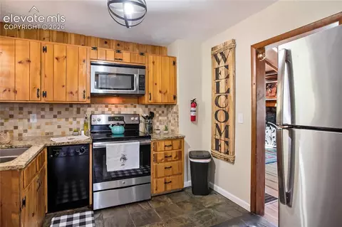 9850 Mohawk Trl, Cascade, CO 80809 photo 21