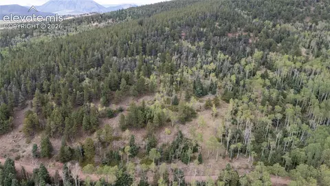 lot2915 Henderson Dr, Fort Garland, CO 81133
