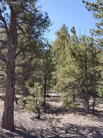 tbd Chickadee Dr, Hartsel, CO 80449 photo 3