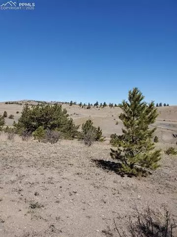 tbd Chickadee Dr, Hartsel, CO 80449 photo 6