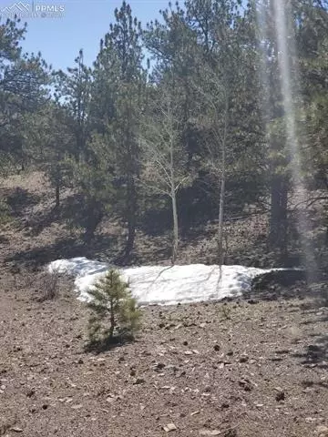 tbd Chickadee Dr, Hartsel, CO 80449 photo 2