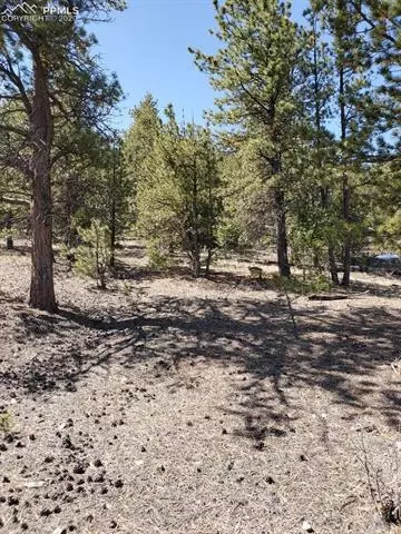 tbd Chickadee Dr, Hartsel, CO 80449 photo 4