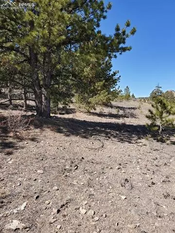 tbd Chickadee Dr, Hartsel, CO 80449 photo 7