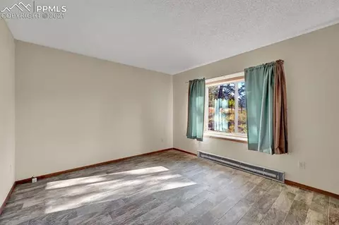 218 Blue Mesa Dr, Divide, CO 80814 photo 23