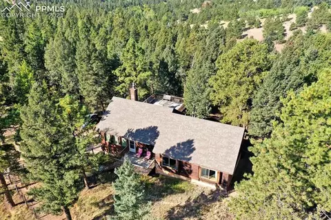 218 Blue Mesa Dr, Divide, CO 80814 photo 5