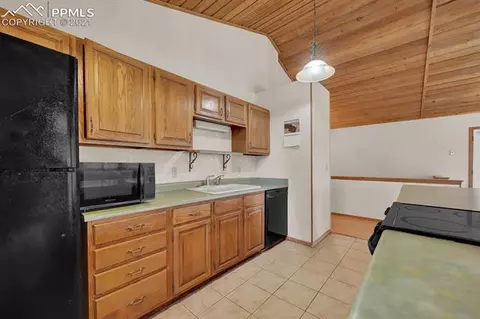 218 Blue Mesa Dr, Divide, CO 80814 photo 15