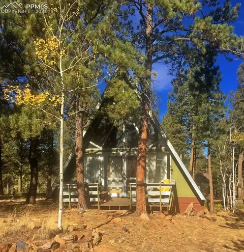195 Wayward Wind Dr, Divide, CO 80814 photo 1