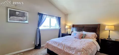 646 Trumbull Ln, Monument, CO 80132 photo 18