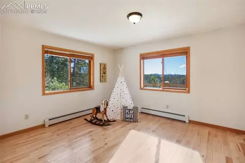 4155 Cedar Mountain Rd, Divide, CO 80814 photo 21