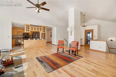4155 Cedar Mountain Rd, Divide, CO 80814 photo 5